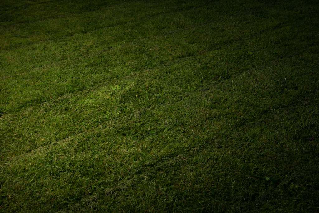 Documentary project — Relationship between human and nature
